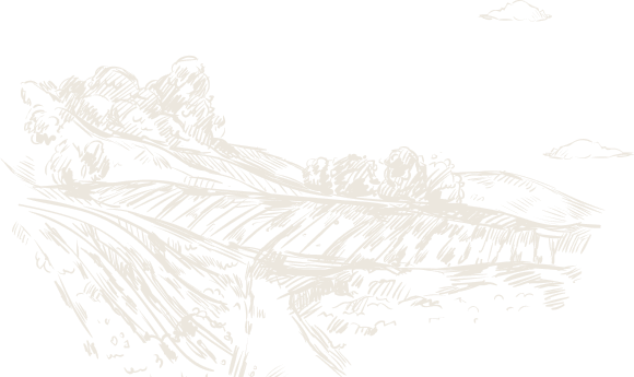 bg-av